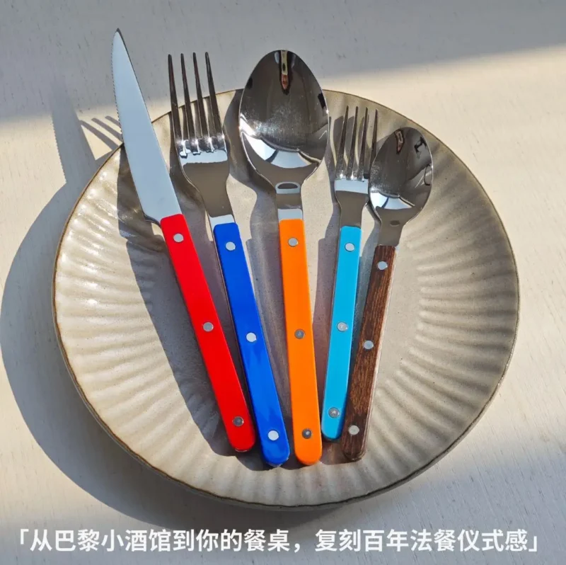 Colorful 316 Stainless Steel Western Cutlery Set, French Clasp Handle Steak Knives, Dessert Forks Spoons Flatware Collection